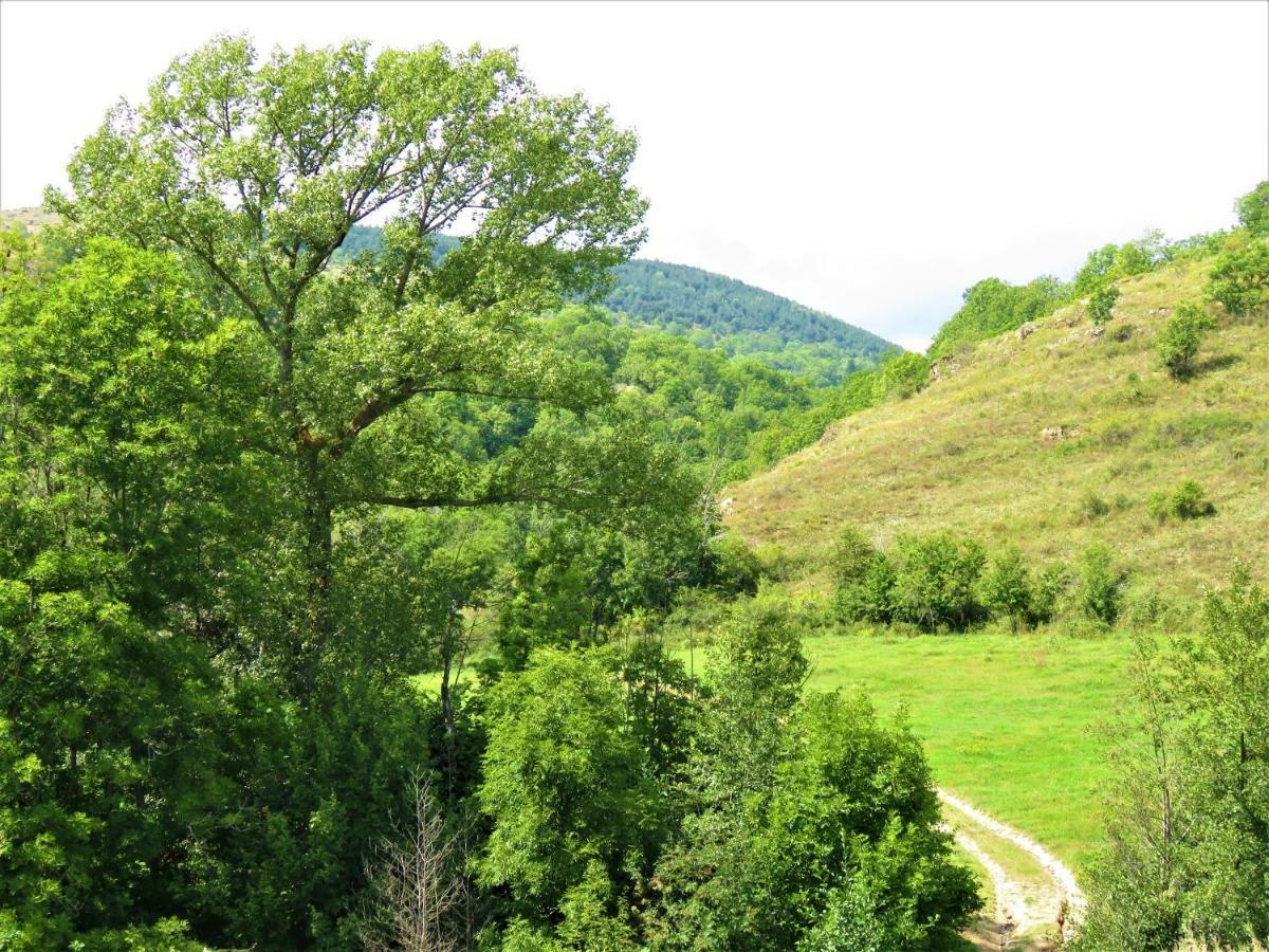 Vaque Villeneuve Des Escaldes Angoustrine מראה חיצוני תמונה
